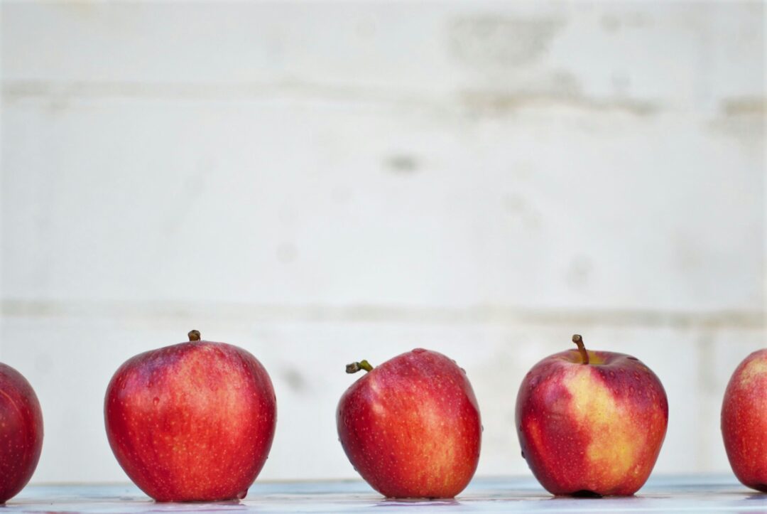 Photo by Isabella Fischer on Unsplash