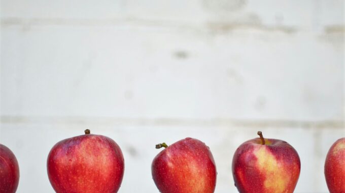 Photo by Isabella Fischer on Unsplash